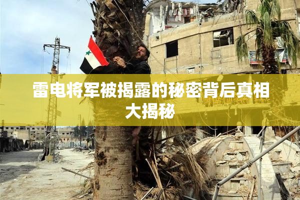 雷电将军被揭露的秘密背后真相大揭秘