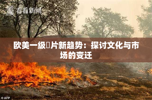 欧美一级婬片新趋势：探讨文化与市场的变迁