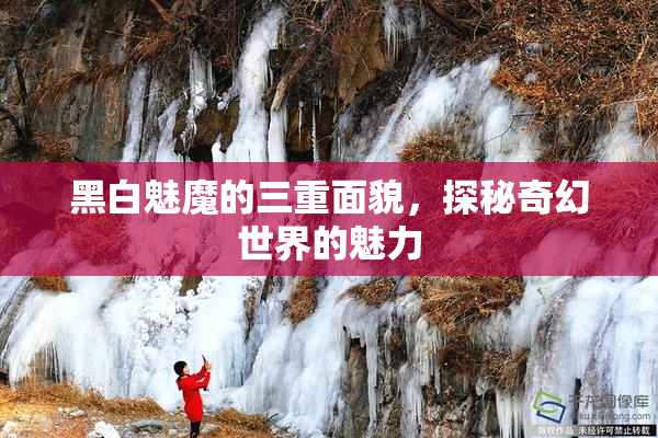 黑白魅魔的三重面貌，探秘奇幻世界的魅力