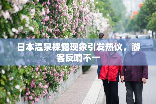日本温泉裸露现象引发热议，游客反响不一