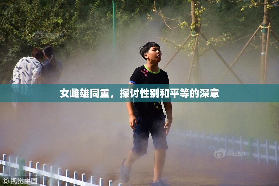 女雌雄同重，探讨性别和平等的深意