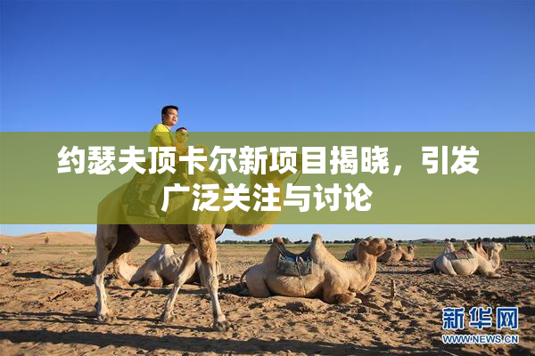 约瑟夫顶卡尔新项目揭晓，引发广泛关注与讨论