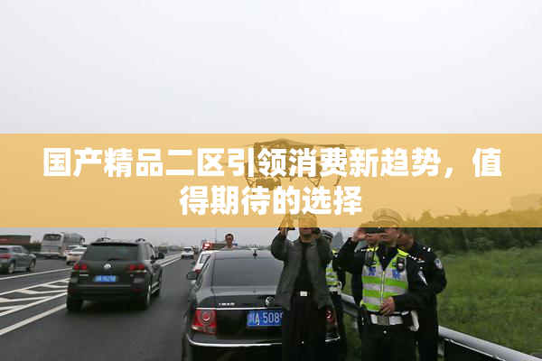 国产精品二区引领消费新趋势，值得期待的选择