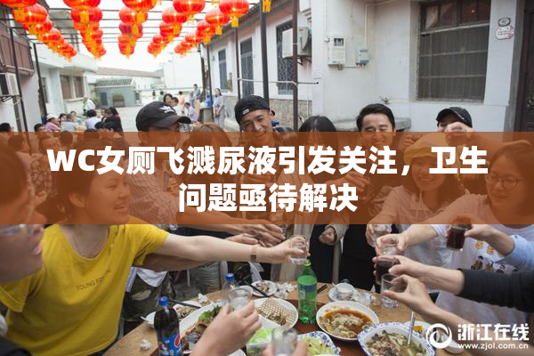 WC女厕飞溅尿液引发关注，卫生问题亟待解决