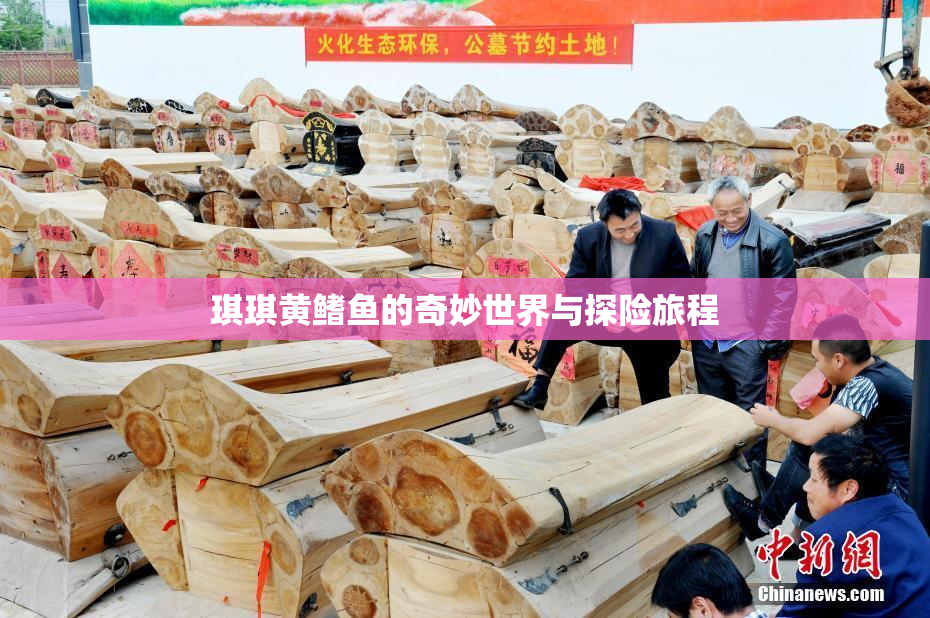 琪琪黄鳍鱼的奇妙世界与探险旅程