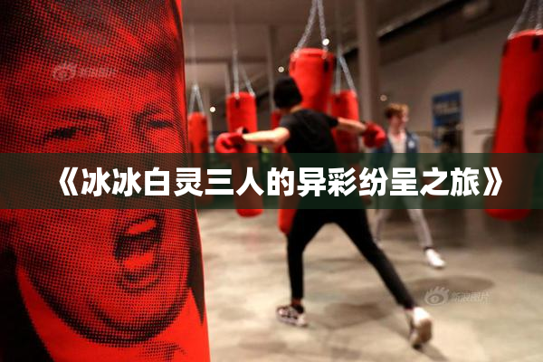 《冰冰白灵三人的异彩纷呈之旅》