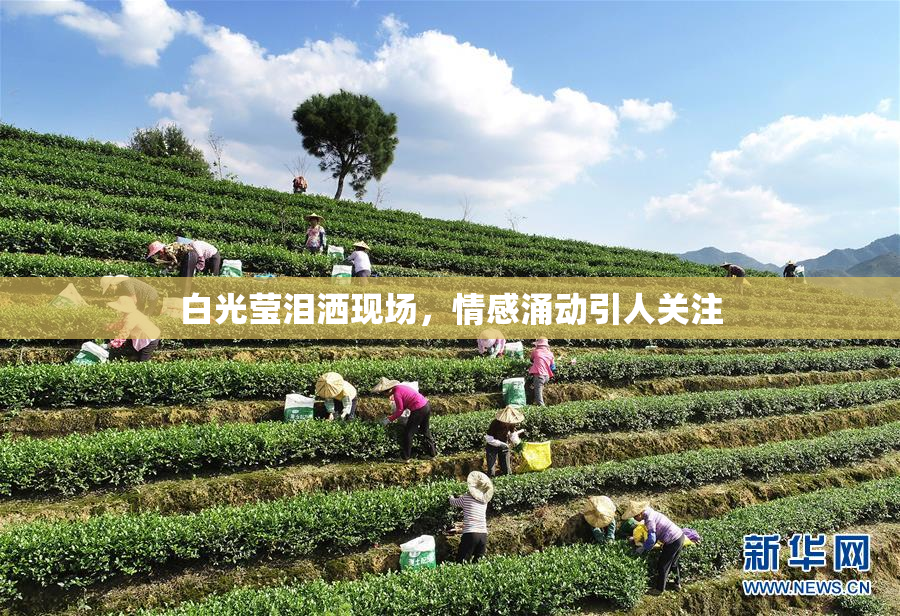 白光莹泪洒现场，情感涌动引人关注