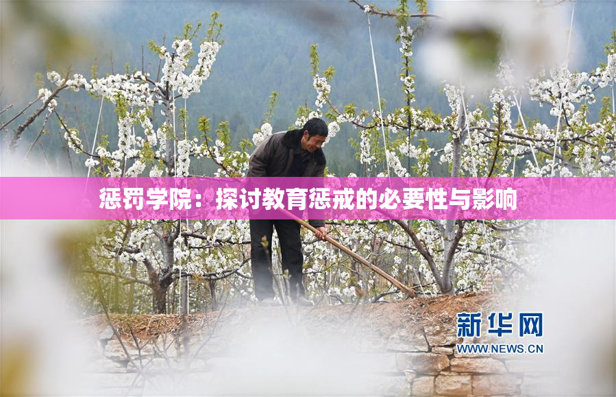 惩罚学院：探讨教育惩戒的必要性与影响