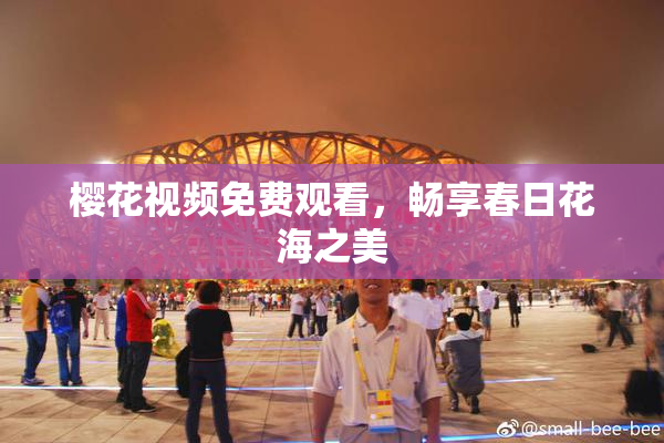 樱花视频免费观看，畅享春日花海之美