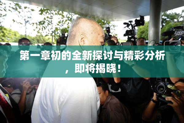 第一章初的全新探讨与精彩分析，即将揭晓！