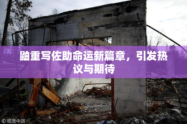 鼬重写佐助命运新篇章，引发热议与期待