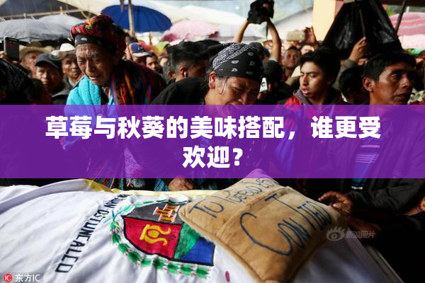 草莓与秋葵的美味搭配，谁更受欢迎？
