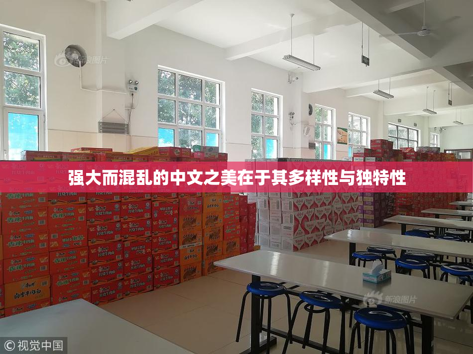 强大而混乱的中文之美在于其多样性与独特性