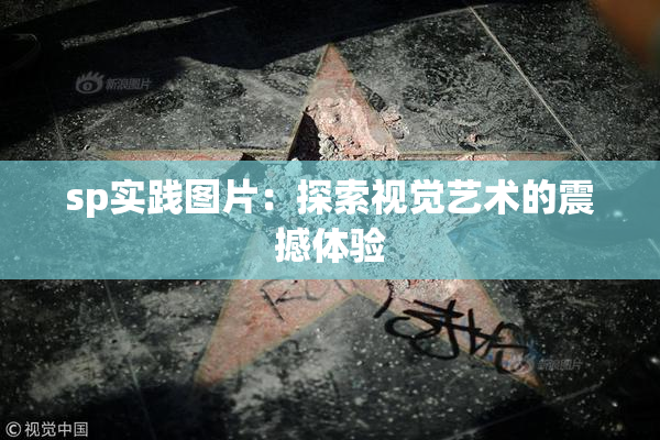 sp实践图片：探索视觉艺术的震撼体验
