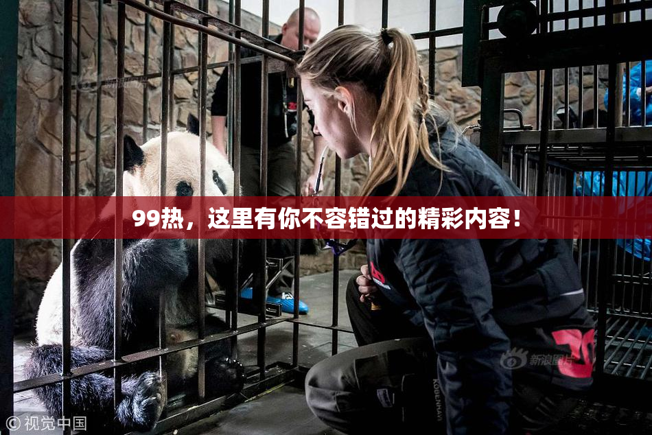 99热，这里有你不容错过的精彩内容！
