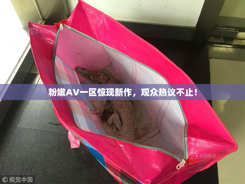 粉嫩AV一区惊现新作，观众热议不止！