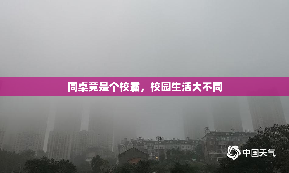 同桌竟是个校霸，校园生活大不同