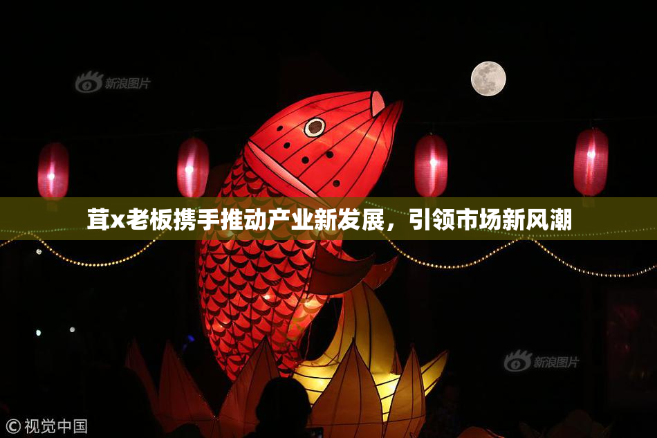 茸x老板携手推动产业新发展，引领市场新风潮
