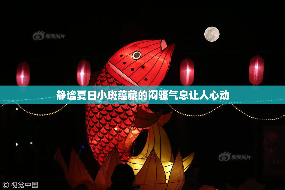 静谧夏日小斑蕴藏的闷骚气息让人心动