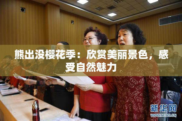 熊出没樱花季：欣赏美丽景色，感受自然魅力