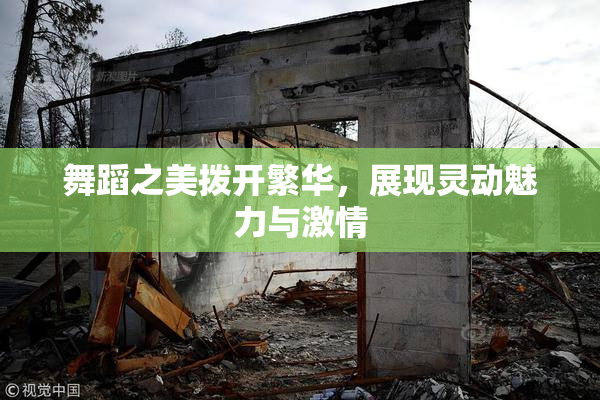 舞蹈之美拨开繁华，展现灵动魅力与激情