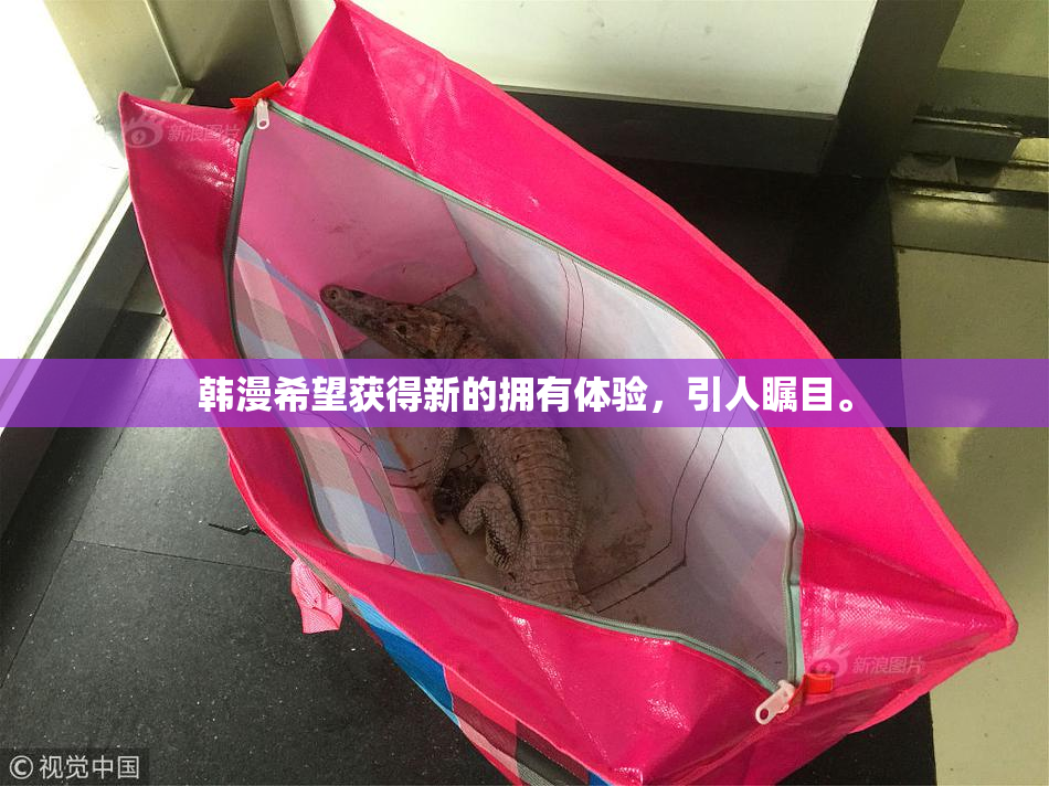 韩漫希望获得新的拥有体验，引人瞩目。