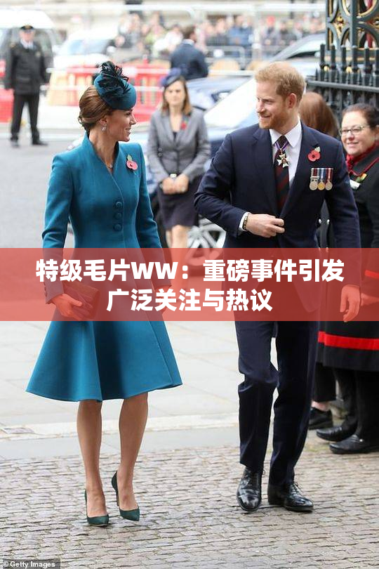 特级毛片WW：重磅事件引发广泛关注与热议