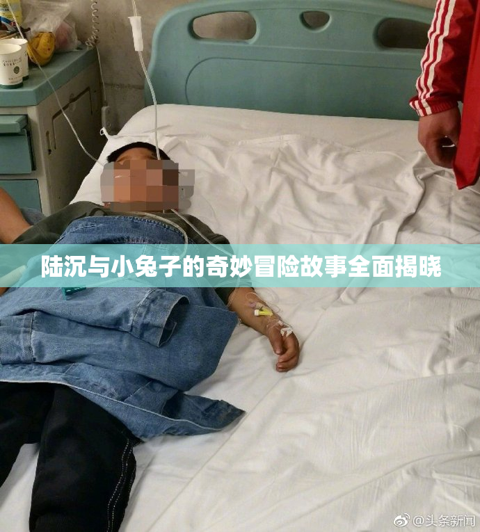 陆沉与小兔子的奇妙冒险故事全面揭晓