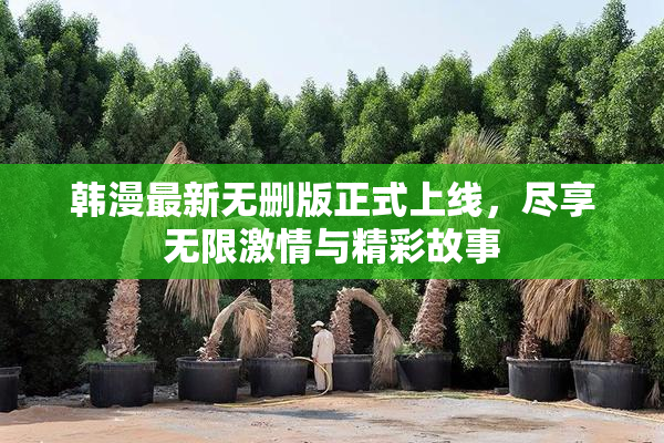 韩漫最新无删版正式上线，尽享无限激情与精彩故事