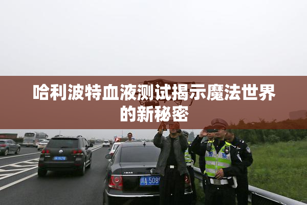 哈利波特血液测试揭示魔法世界的新秘密