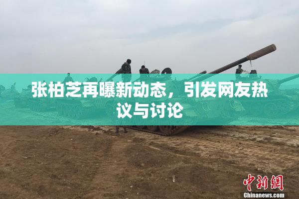 张柏芝再曝新动态，引发网友热议与讨论