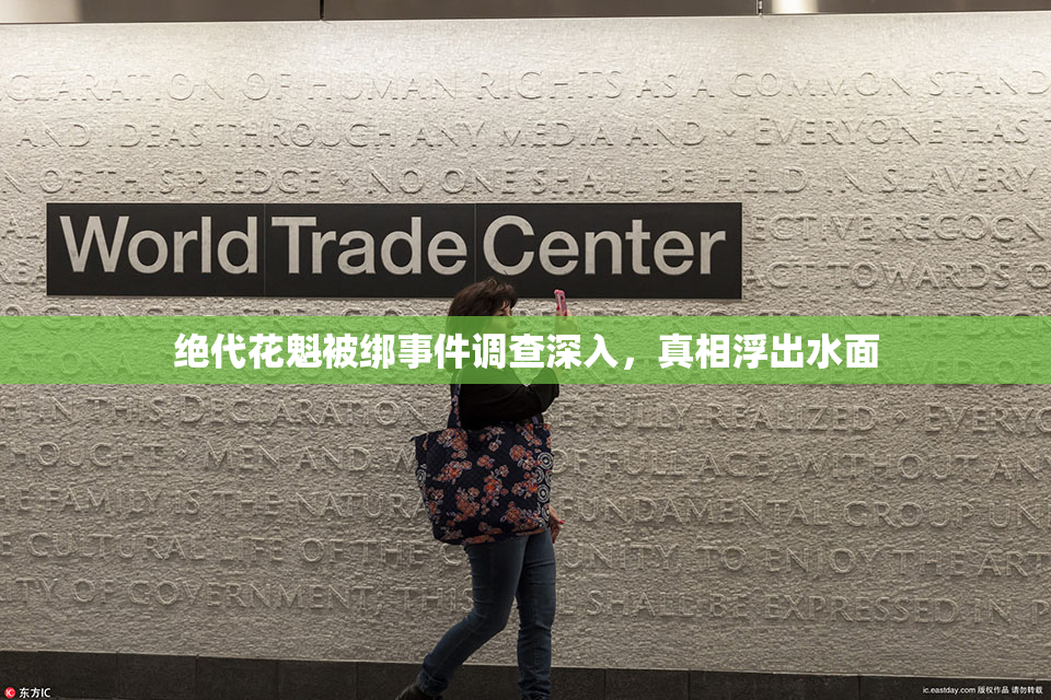 绝代花魁被绑事件调查深入，真相浮出水面