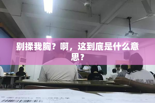 别揉我胸？啊，这到底是什么意思？