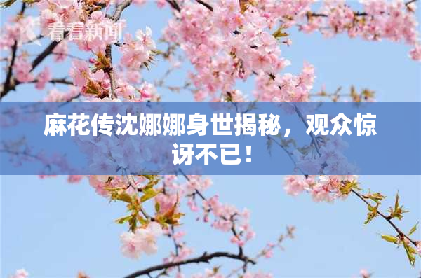 麻花传沈娜娜身世揭秘，观众惊讶不已！