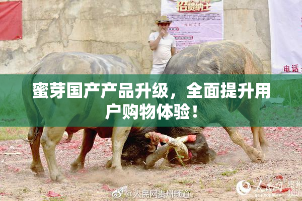 蜜芽国产产品升级，全面提升用户购物体验！