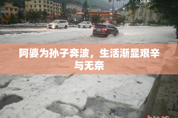 阿婆为孙子奔波，生活渐显艰辛与无奈