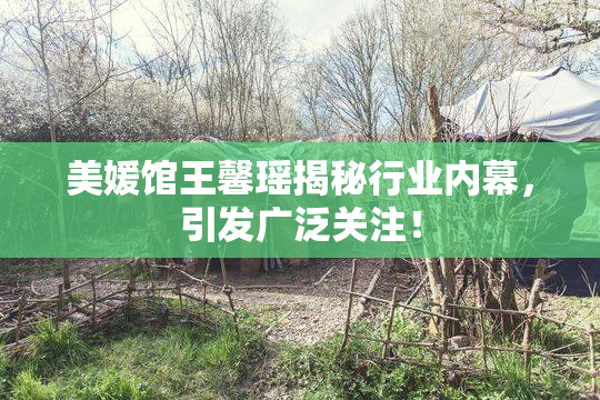 美媛馆王馨瑶揭秘行业内幕，引发广泛关注！