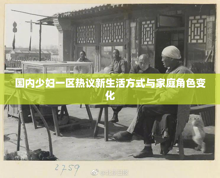 国内少妇一区热议新生活方式与家庭角色变化