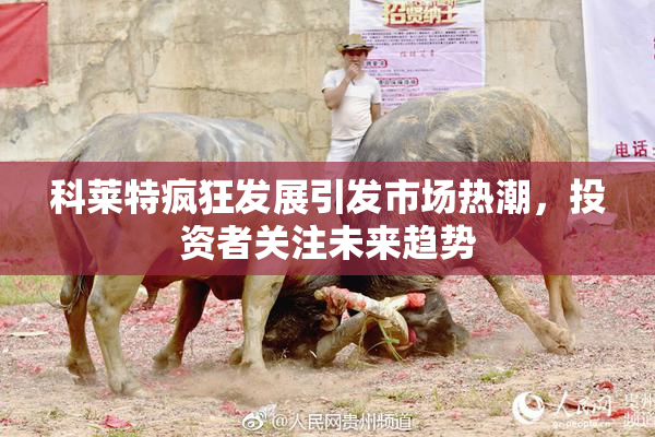 科莱特疯狂发展引发市场热潮，投资者关注未来趋势