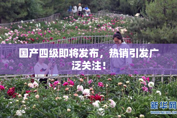 国产四级即将发布，热销引发广泛关注！