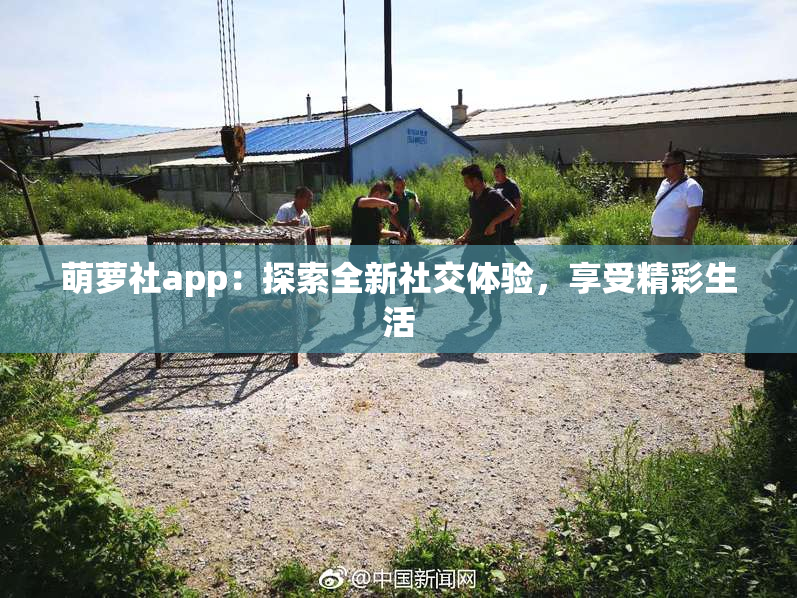 萌萝社app：探索全新社交体验，享受精彩生活