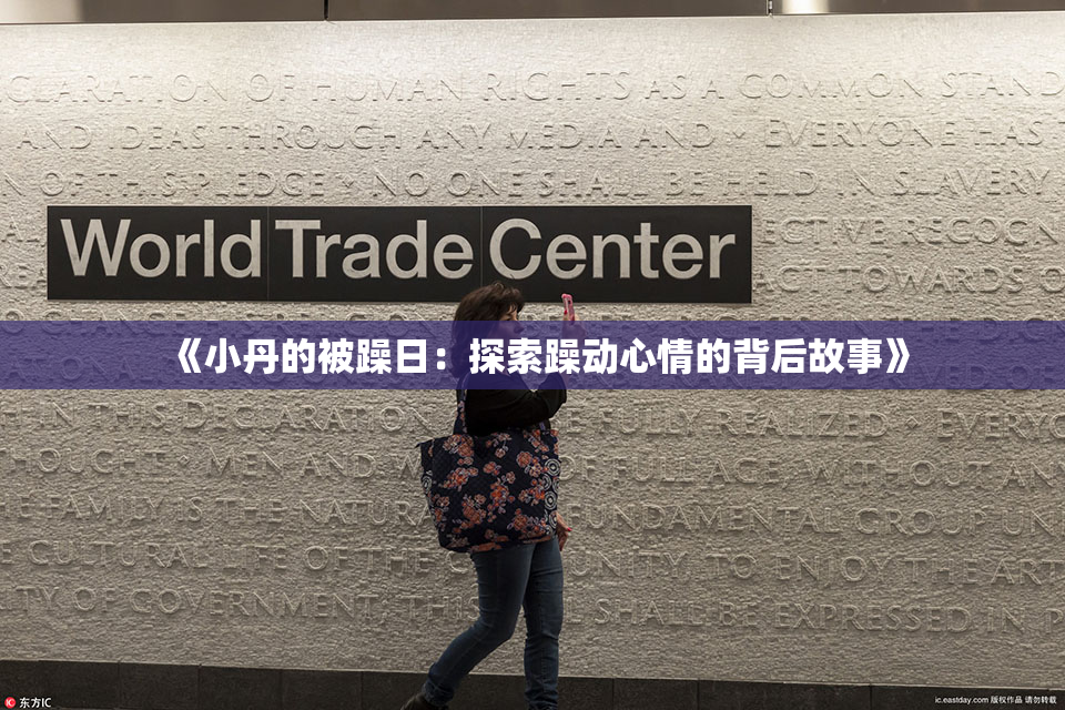 《小丹的被躁日：探索躁动心情的背后故事》