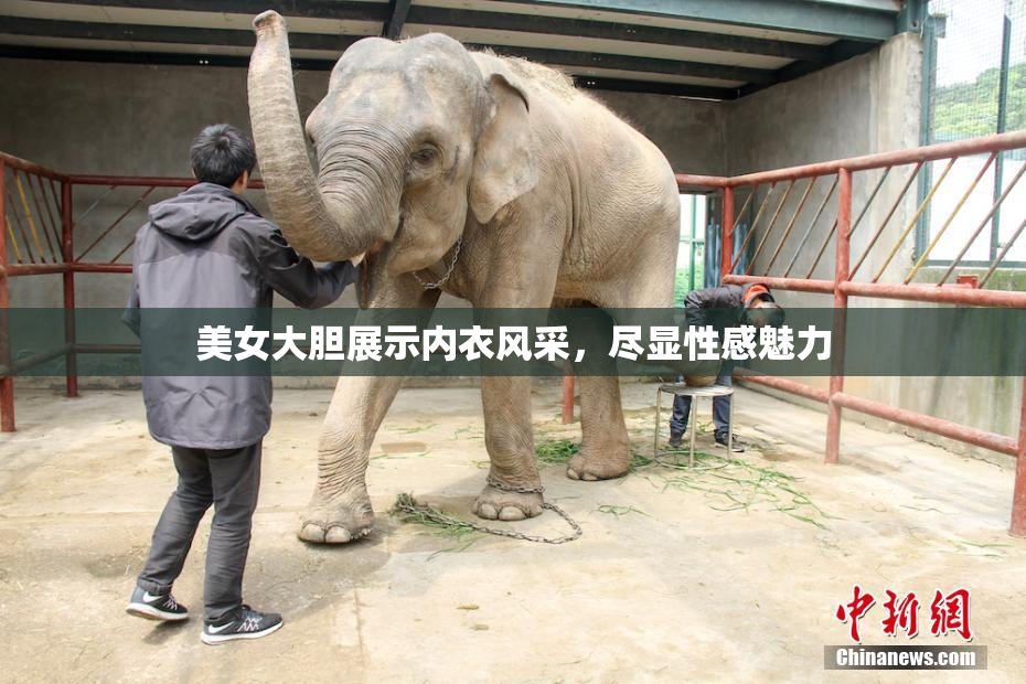 美女大胆展示内衣风采，尽显性感魅力