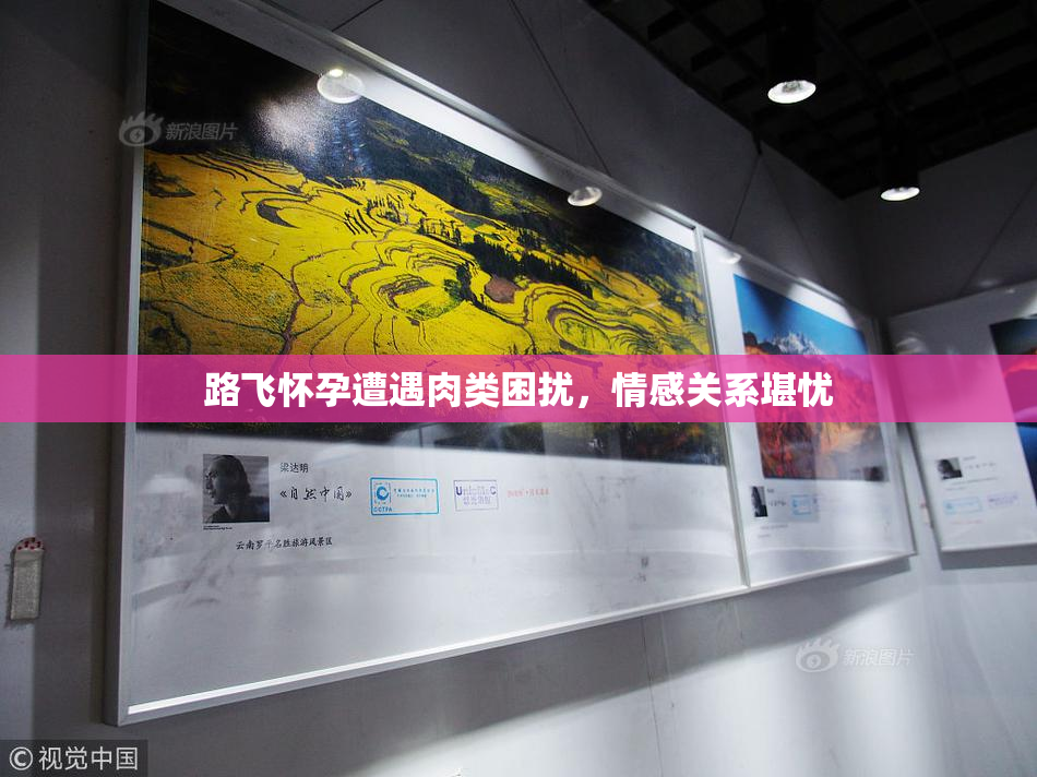 路飞怀孕遭遇肉类困扰，情感关系堪忧