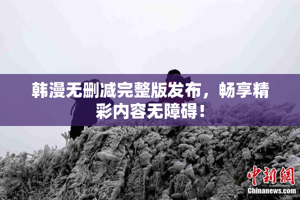 韩漫无删减完整版发布，畅享精彩内容无障碍！