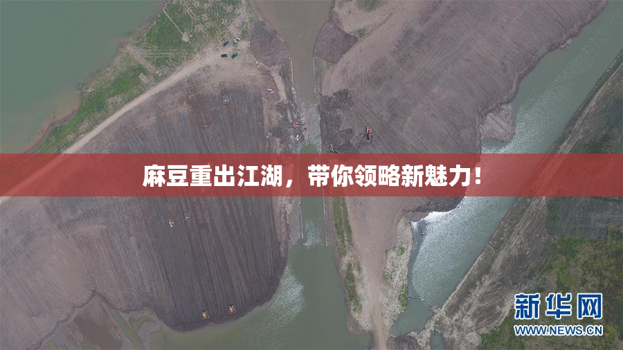 麻豆重出江湖，带你领略新魅力！