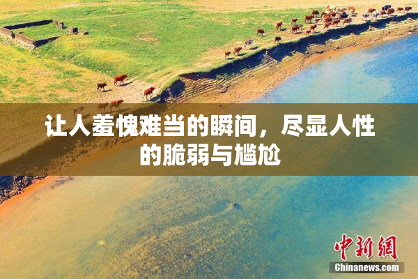 让人羞愧难当的瞬间，尽显人性的脆弱与尴尬