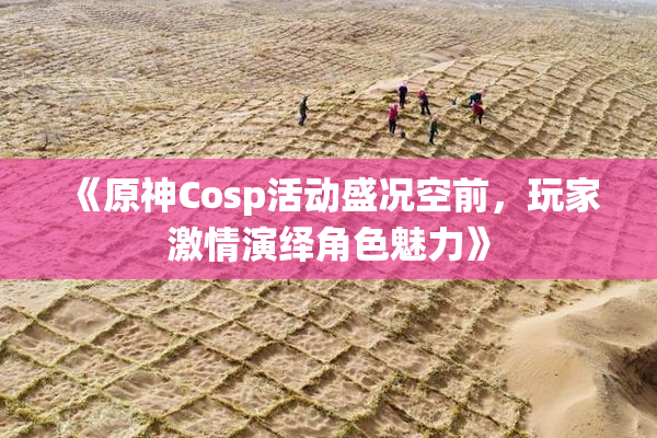 《原神Cosp活动盛况空前，玩家激情演绎角色魅力》