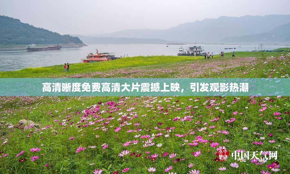 高清晰度免费高清大片震撼上映，引发观影热潮