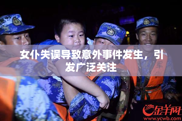 女仆失误导致意外事件发生，引发广泛关注
